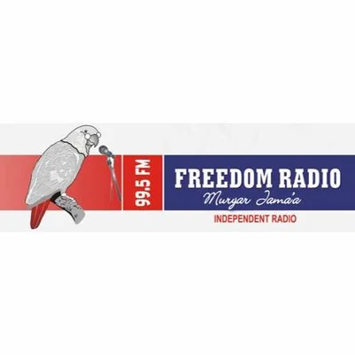 Freedom Radio 99.5 FM — Kano, Kano, Nigeria live radio station logo